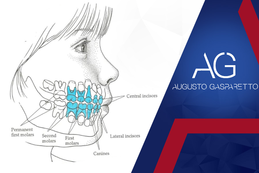A importância dos dentes de leite